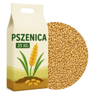 Nasiona pszenicy ozimnej 25KG