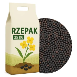 Nasiona rzepaku 25KG